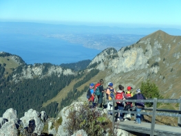 2017_Vie 008 - Copie.jpg